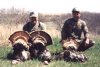 George McPhillips Greg Holmes turkey low.jpg (3574 bytes)