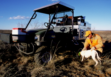 Mule1.jpg (129180 bytes)