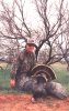Rod Maddox turkey low.jpg (3507 bytes)