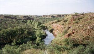 pasture.jpg (17416 bytes)